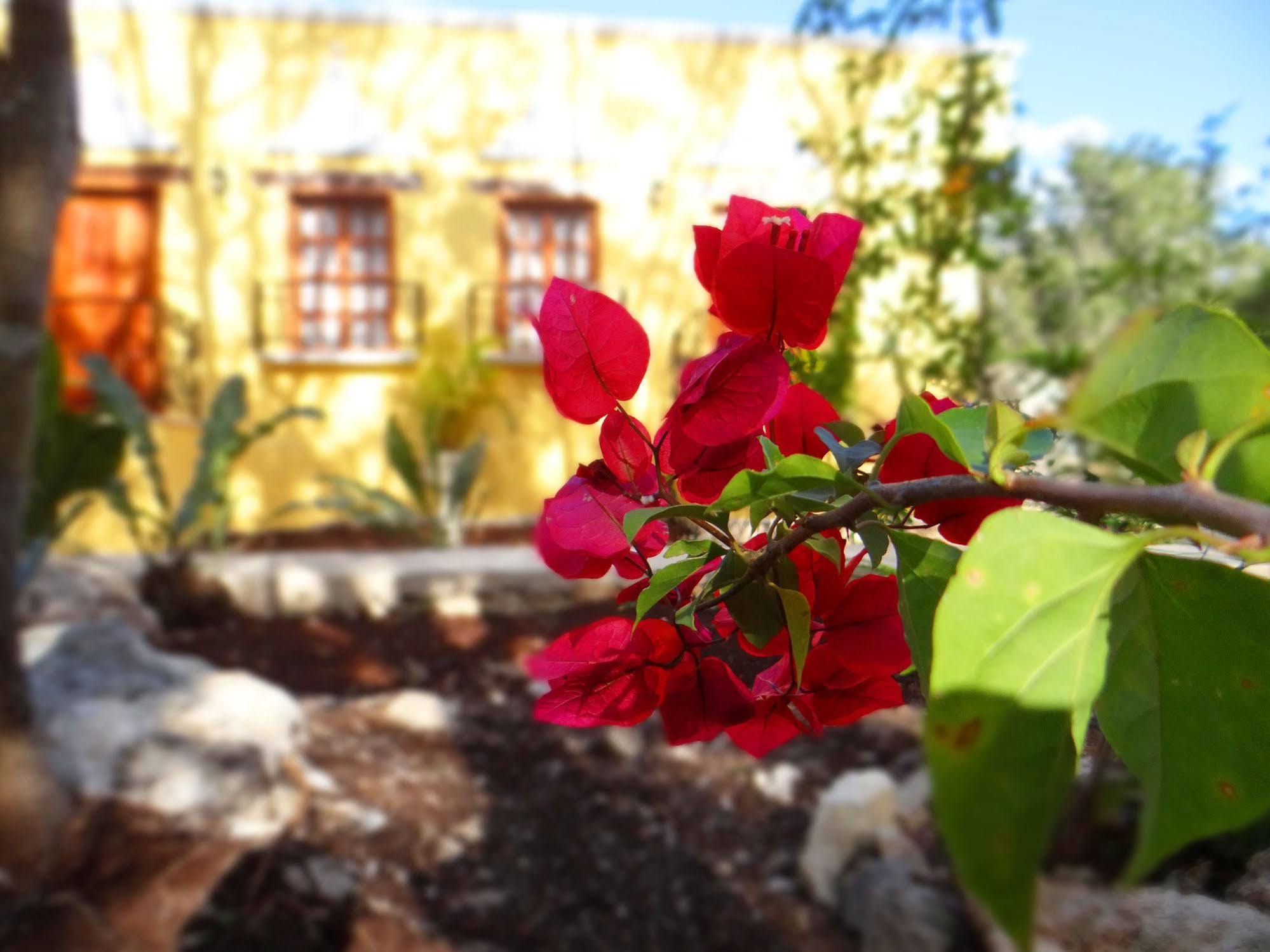 Hacienda Coba Bed & Breakfast Eksteriør bilde